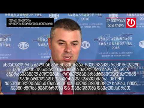 ოთარ დანელია პრეზიდენტის განცხადებაზე