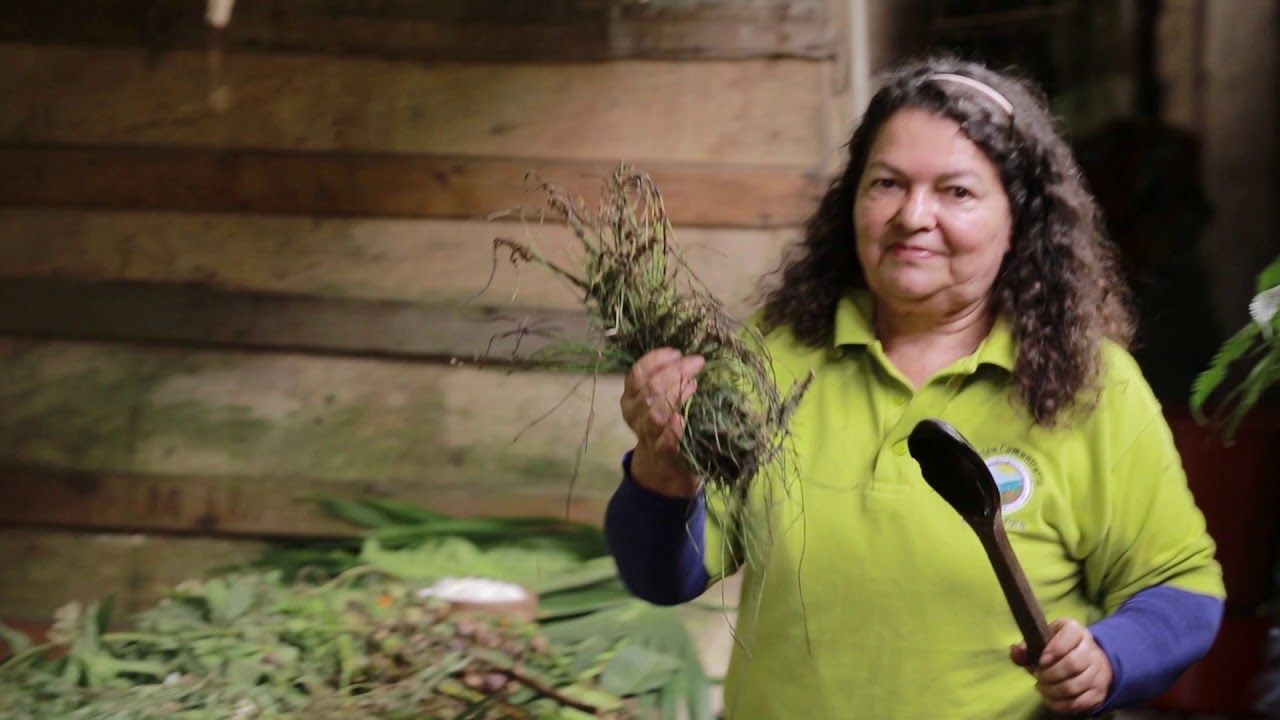 Taller "Elaboración de shampoo medicinal"
