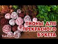 Заливка мыльных пионов для букета 🌸🌸🌸 Силиконовые формы от ТакКруто