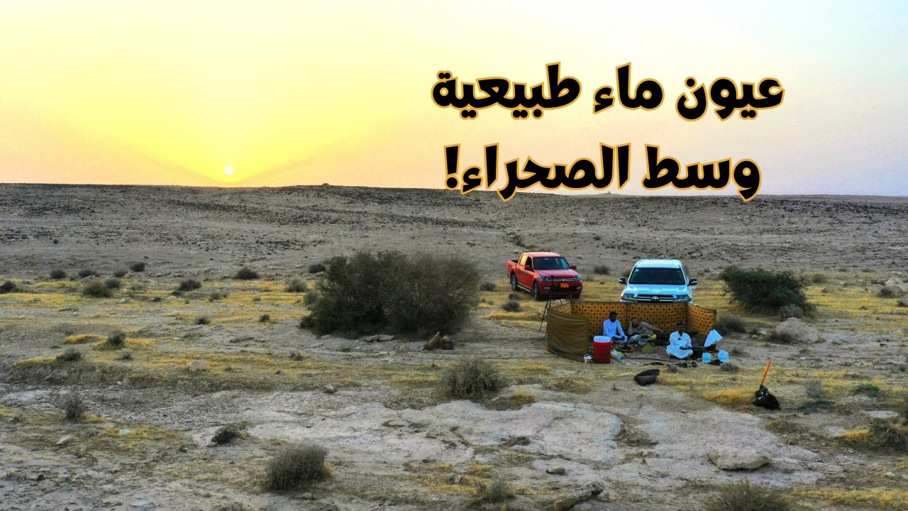 عيون ماء وبحيرة عمرها آلاف السنين! جمال لا يوصف في الصحراء #مقناص_العراق