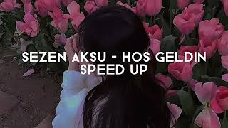 Sezen Aksu - Hoş geldin (Speed up) Resimi