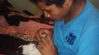 Cuspindo Na Boca Do Gato