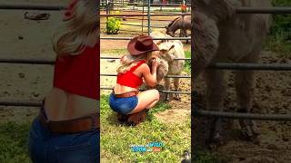 Animals That Trust Humans Part 10: The Unbreakable Bonds of Home