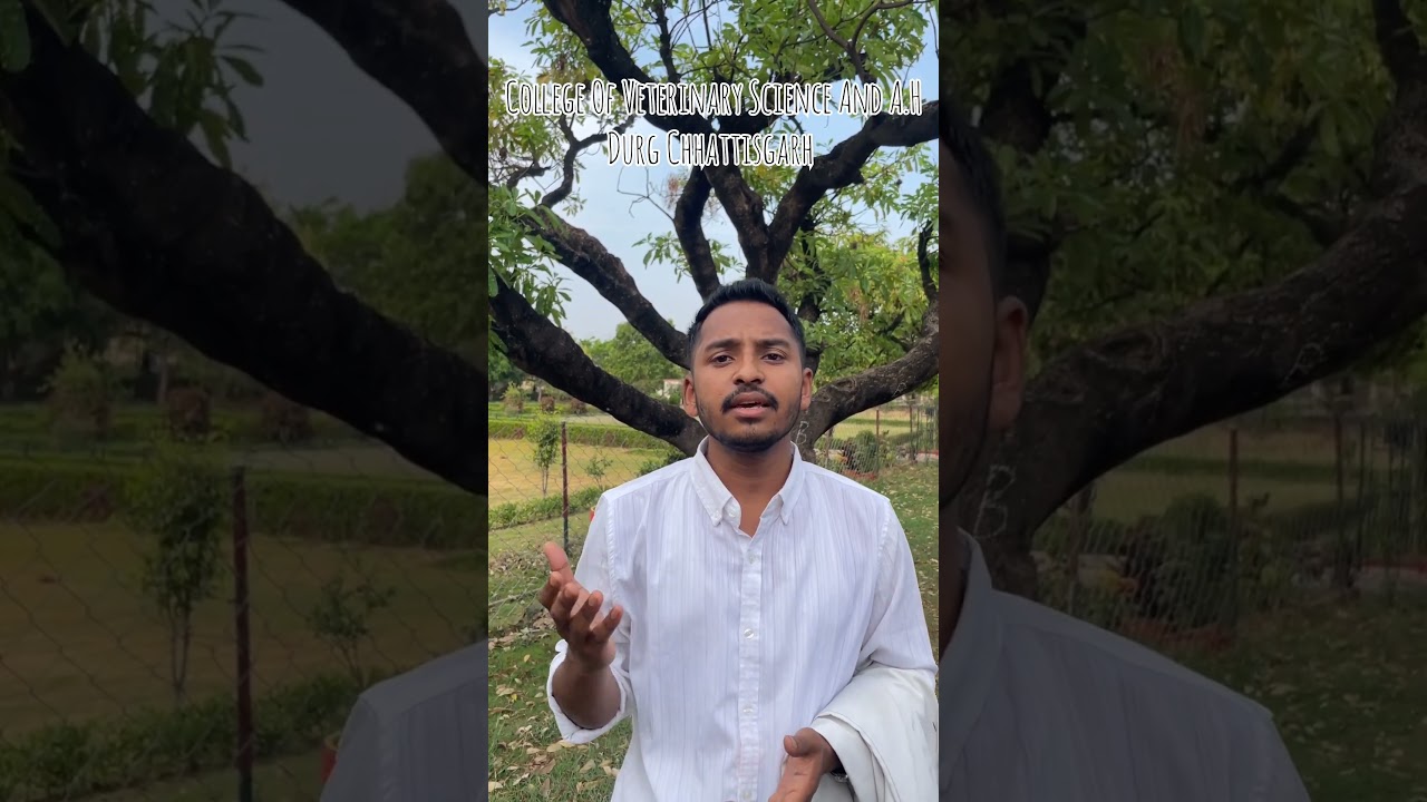 Veterinary college Cutoff state quota/All India/ VCI cutoff 2024-25 - DSVCKV Durg Chhattisgarh