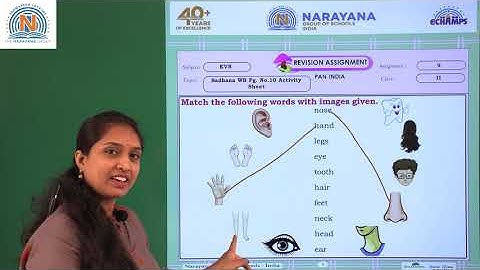 8TH AUG PAN INDIA CLASS II EVS ASSIGNMENT KEY