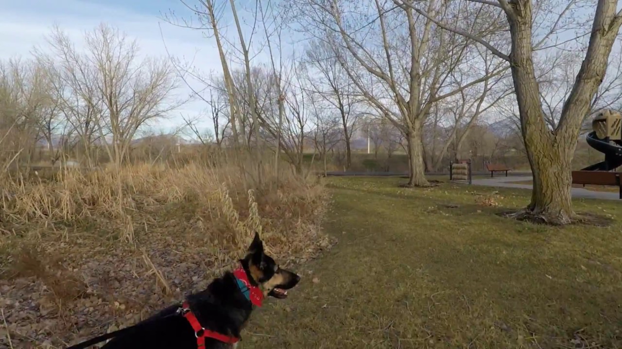 GoPro Karma grip test footage