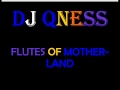 Dj qness  flutes of motherland