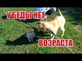 Малыш встал на лапки) Операция Ники,как все прошло? Было страшно!!!