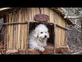 Building a Primitive Dog House for Rufo