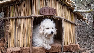 Building a Primitive Dog House for Rufo