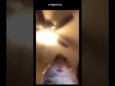 от чего умерли