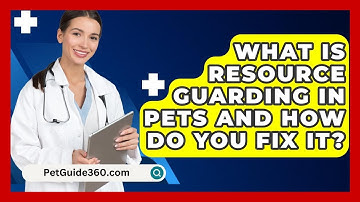 What Is Resource Guarding In Pets And How Do You Fix It? - PetGuide360.com