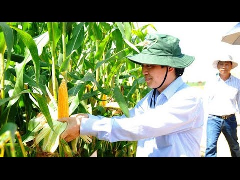 Video: Màng Phủ đất Stabilen® - Lớp Phủ