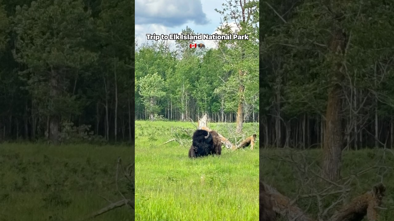 Perfect day trip for people living in Edmonton. 