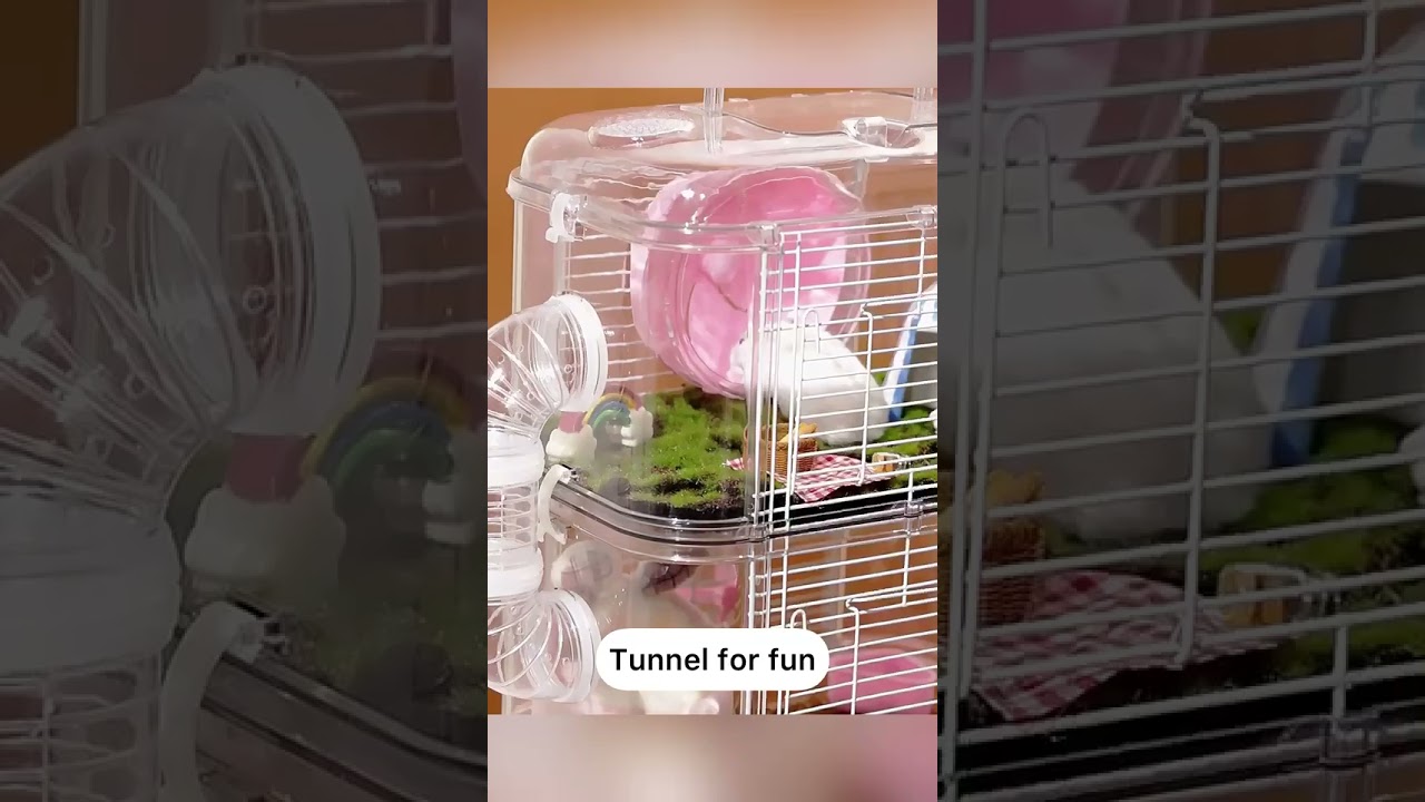 All in 1 Hideout House Exercise Silent Wheel Platform Accessories Hamster Cage China manufacturer