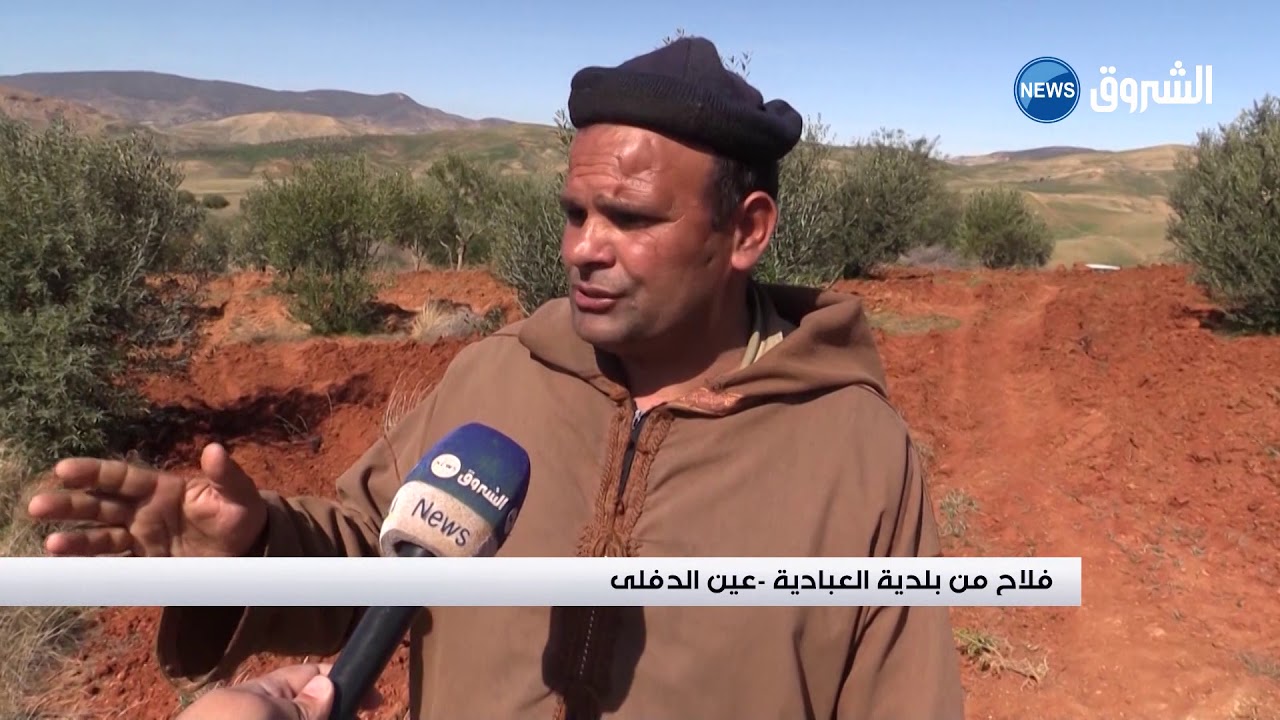 #عين_الدفلى| فلاحو العبادية يطالبون بعقود الامتياز لاستغلال أراضيهم