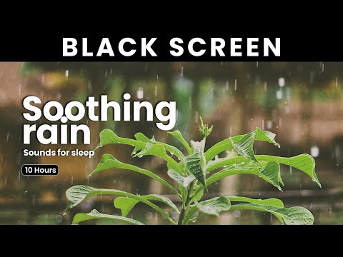 Soothing rain sounds for sleep black screen - Black Screen Sleep sounds