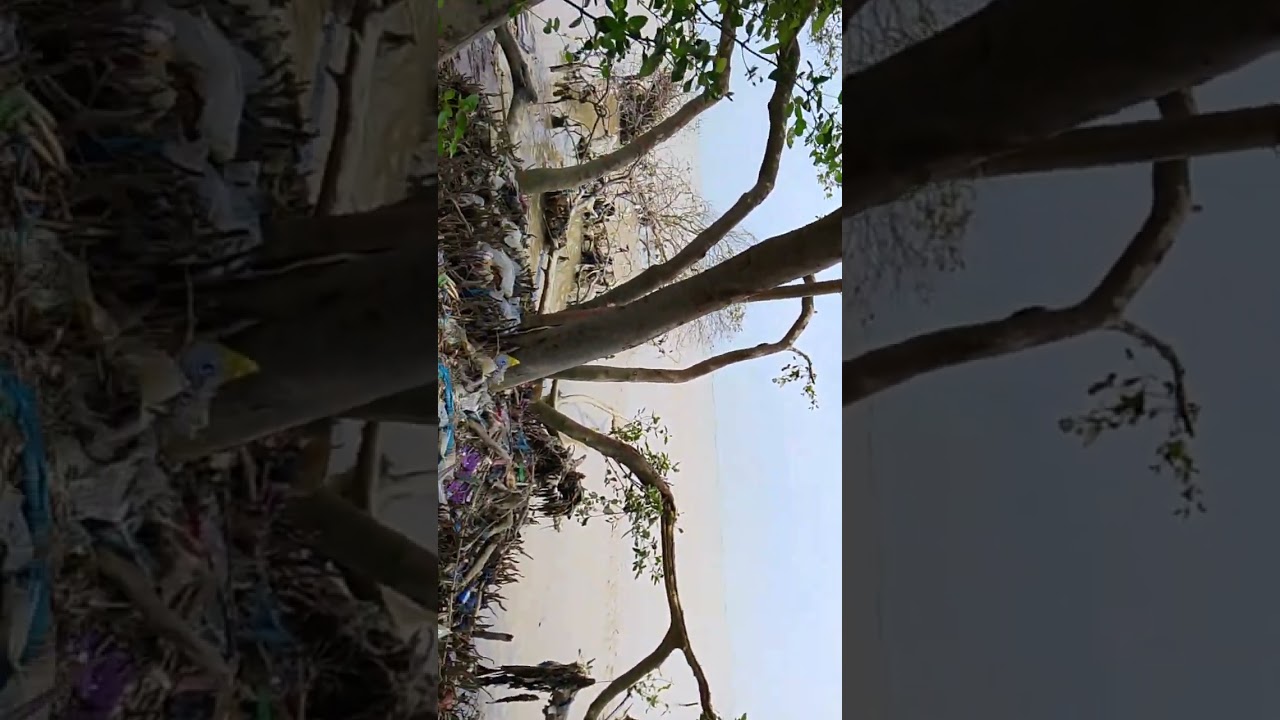 Pantai Baro Gebang Cirebon 