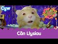 Youtube Thumbnail title