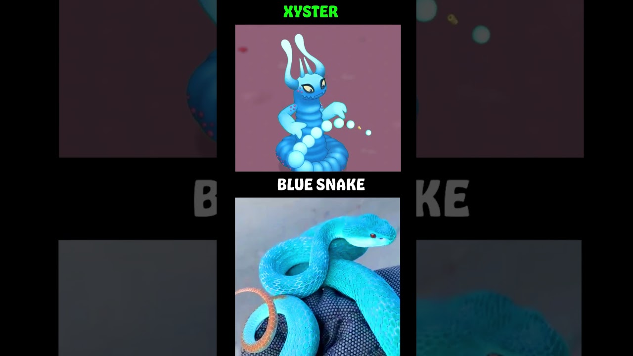 Xyster MSM Inspired by...My Singing Monsters 