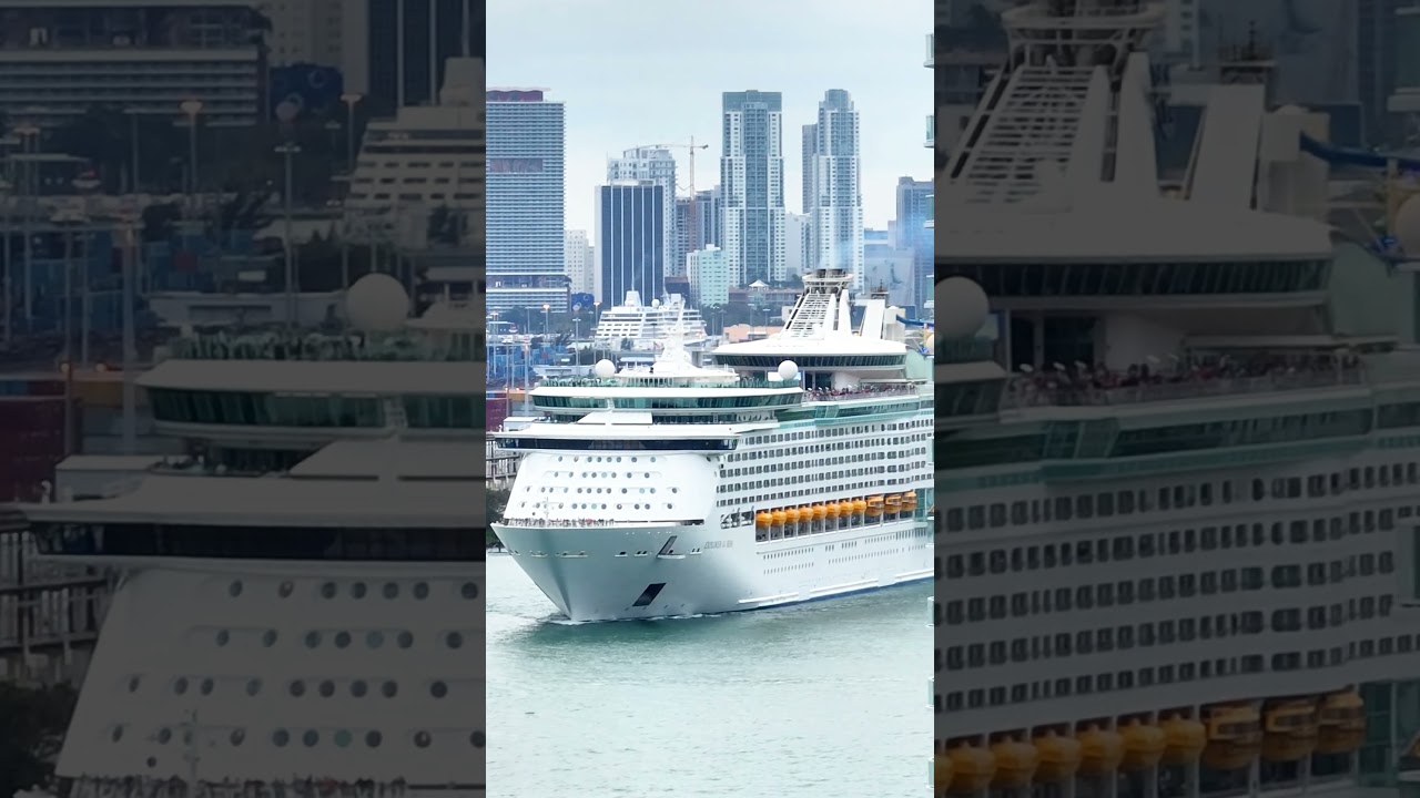 Check out this view! Imagine seeing all the cruise ships sail away from your home. 😍😎🥰