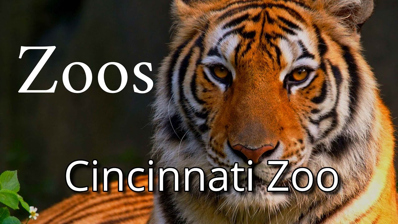 Зоопарк Цинциннати