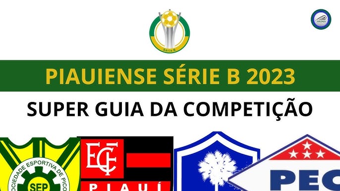 Série B do Campeonato Piauiense 2023: veja números finais dados da