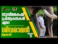 Specialties of elephant Trunk|തുമ്പികൈയുടെ പ്രത്യേകതകൾ|Shivaraman|Panayanarkavu kalidasan|EPI 104