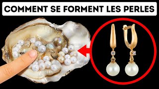 Comment font les huîtres pour se reproduire ?