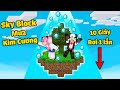 REDHOOD THỬ THÁCH 24 GIỜ SINH TỒN SKYBLOCK KIM CƯƠNG TRONG MINECRAFT*1 NGÀY MỀU SỐNG TRÊN SKYBLOCK