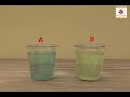 Water Solutions | Environmental Studies | Grade 5 | Periwinkle