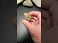 First time worked out pretty well!!! #michiganrocks #petoskeystone #rockhounding