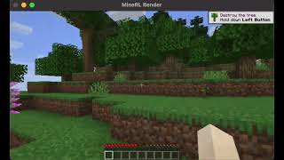 CPSC 531 Final Project - MineRL Punch Trees Test 1