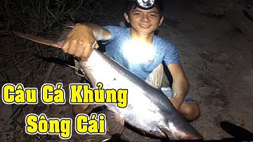 Đi Câu Cá Tra Phút 90 Mà Dính Hugo Khủng 4 Em Lên Bờ Phút 90 Kịch Tính/fishing/NGÃ NĂM TV
