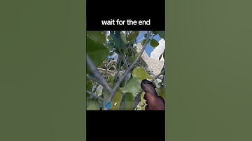 RUST INSTANT KARMA 💀