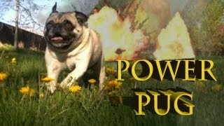Power Pug Power Pug