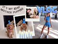 DAY IN THE LIFE VLOG! It's my PUPS BDAY MOTHER PUPPERS