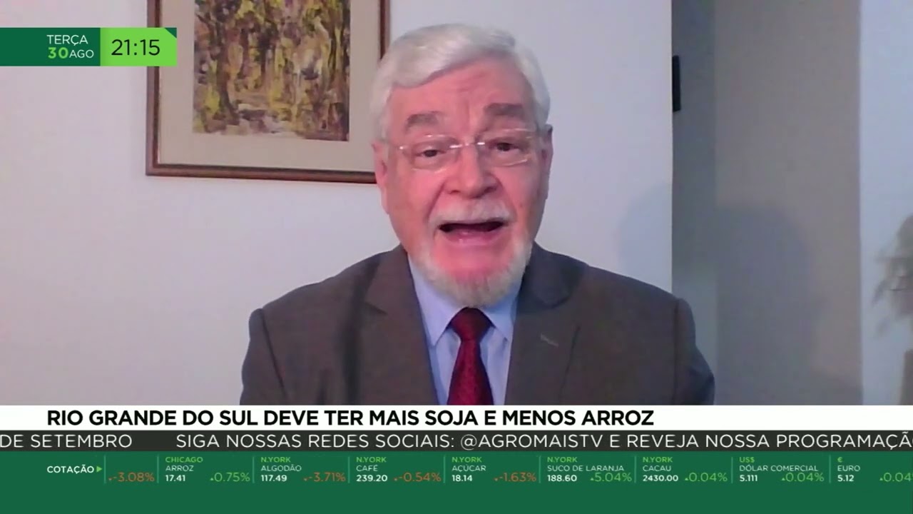 Rio Grande do Sul deve ter mais soja e menos arroz