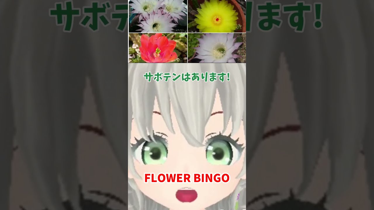 花ビンゴ/花白もか #視聴者参加型 #花ビンゴ #FlowerBingo