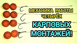 картинка: Механика работы четырёх карповых монтажей! 
