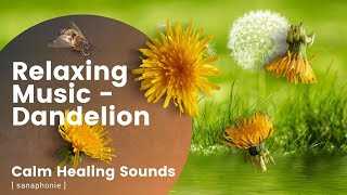 Relaxing Music - Dandelion - Music for Stress Relief - Sanaphonie