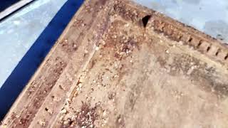 10.8.25 Api̇10 Zero 9.Gün Yaptiğim 2.Tur Uygulamadan 3 Gün Sonrafull Ölü Varroa Içılıq