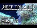 沖縄産スターポリプ メタリックグリーン Mサイズ[S0518-1]REEF-TRIGGER
