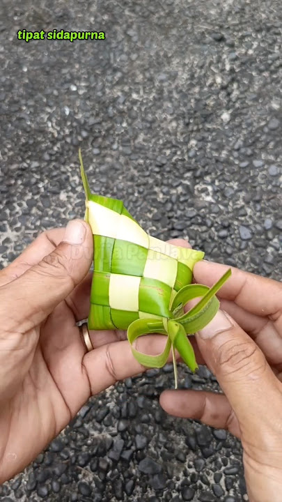 tutorial tipat sidapurna