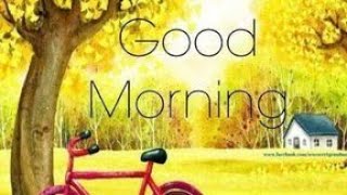 Morning videos gif |Good Morning videos msg | good morning messages for girlfriend| Gmg screenshot 3