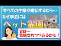 「ペット霊園がないのはなぜ」ご質問にお答えしました。