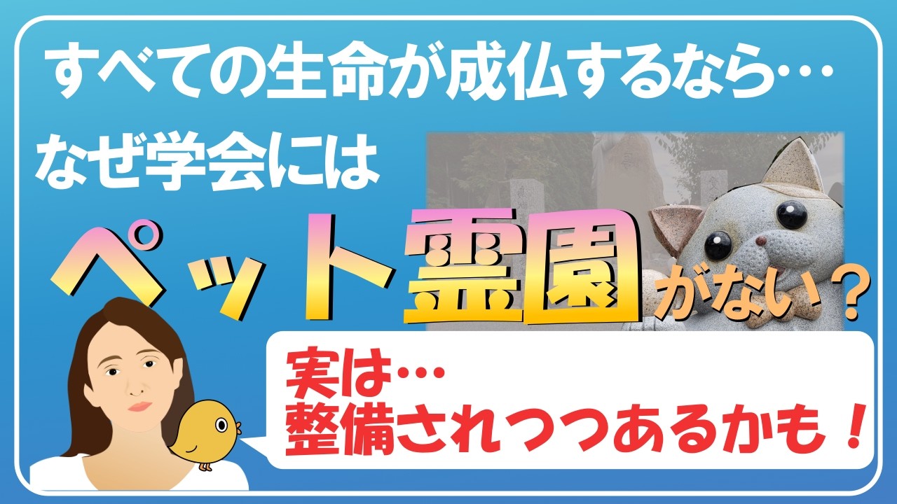 「ペット霊園がないのはなぜ」ご質問にお答えしました。