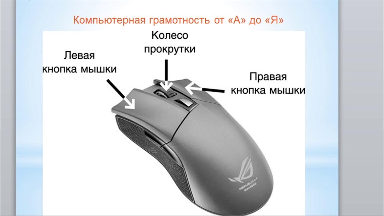 Почему мышь назвали мышью. Компьютерная мышка вид сверху и сбоку. Компьютерная мышка вид сбоку. Компьютерная мышь обозначение кнопок. Бесшумные мышки с кнопкой сбоку.