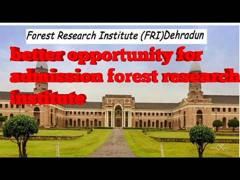 raiz forest and paper research institute