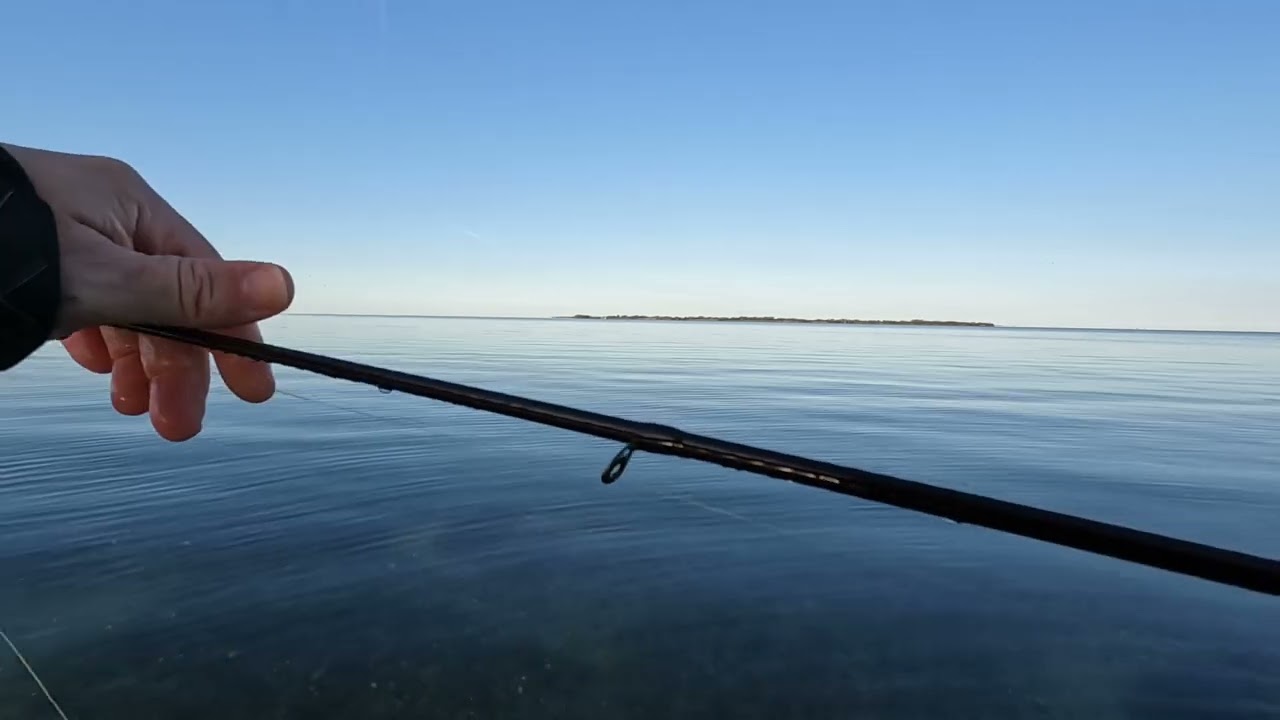 Havørred på Langeland